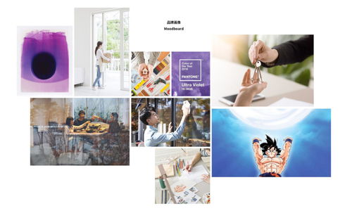 元气感家政服务品牌VI设计 为家政注入活力与信赖