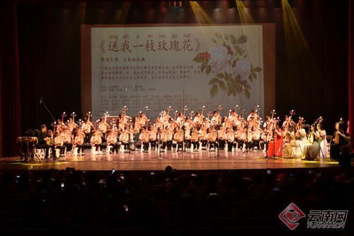 花韵琵琶传雅韵，彩云之南奏华章——首届彩云花韵琵琶文化艺术周系列活动圆满落幕